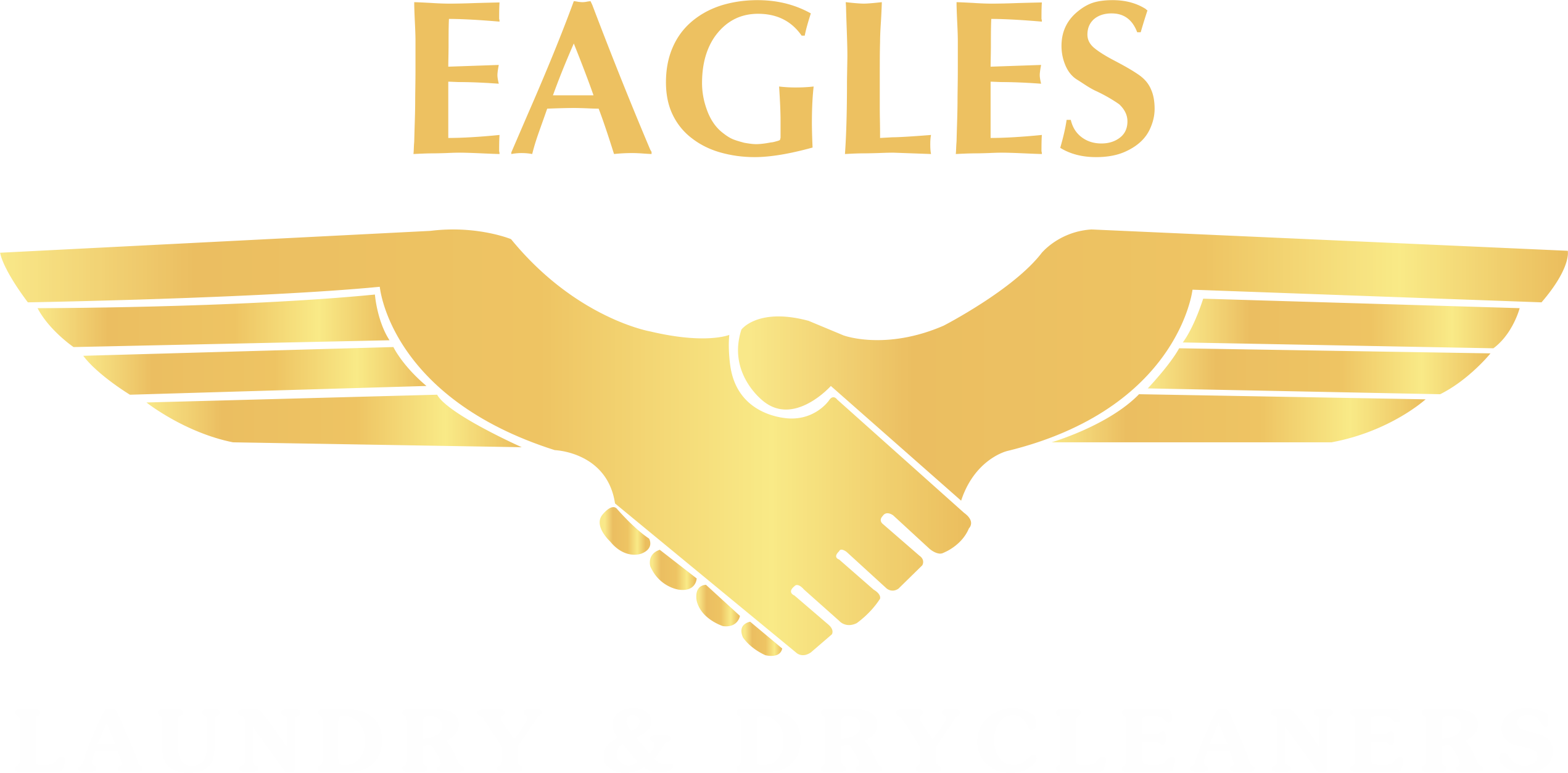 Eagles Laundry Logo